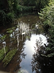 Water Thoughts, Karin Mölder, 1. Platz Kunstpreis